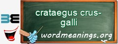 WordMeaning blackboard for crataegus crus-galli